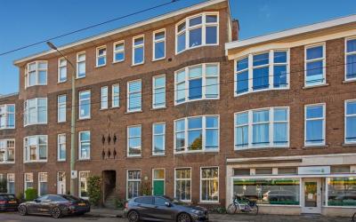 Goudenregen. 242