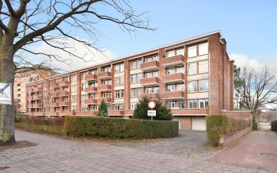 Zonnebloems. 169