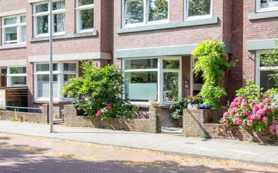 Zonnebloems. 42