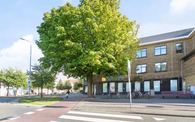 De la Reyweg 245