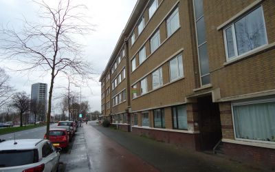 De la Reyweg 793