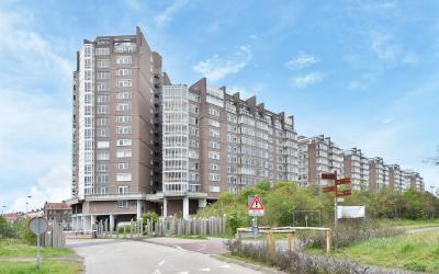 Groningsest. 235