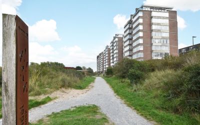 Groningsest. 297