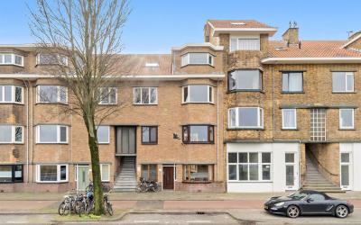 Zwolsestraat 305