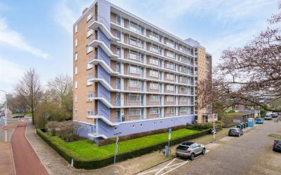 Norenburg 227