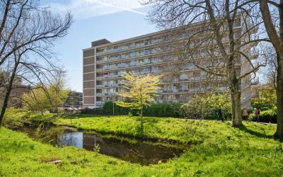 Zwedenburg 392
