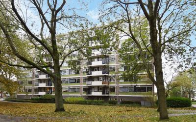 Haverkamp 385