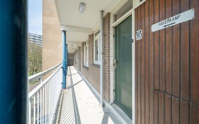 Haverkamp 393