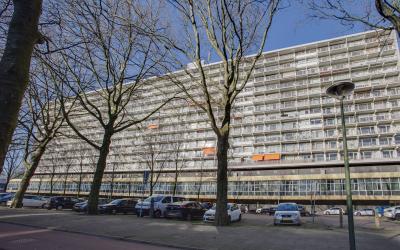 Ametisthorst 183