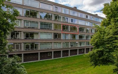 Smaragdhorst 206