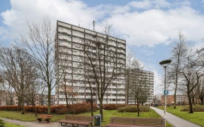 Roggekamp 335