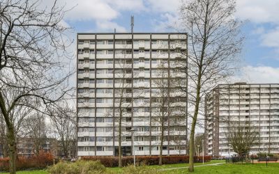 Roggekamp 355