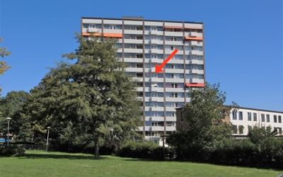 Roggekamp 555