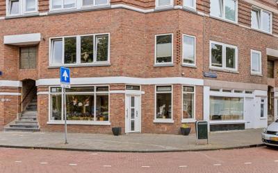 Stuyvesantp. 13