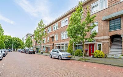 Stuyvesants. 77