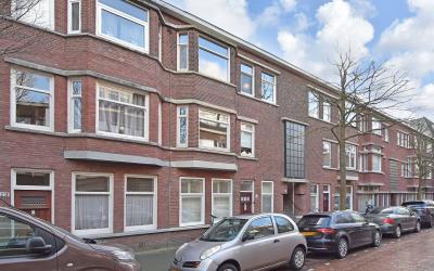 Stuyvesants. 207