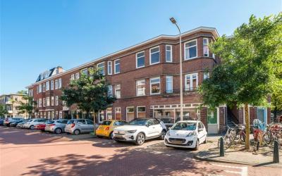 Stuyvesants. 233