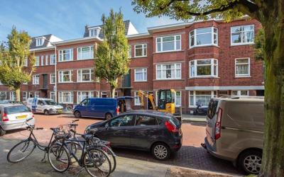 Stuyvesants. 301