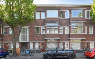 Stuyvesants. 154