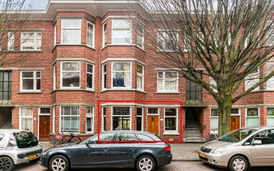 Stuyvesants. 262