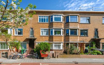 Van Reesstr. 40