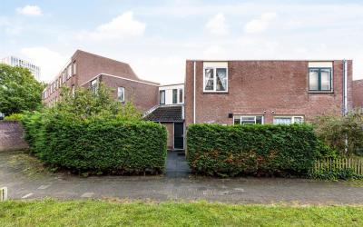 Pieter Both. 85