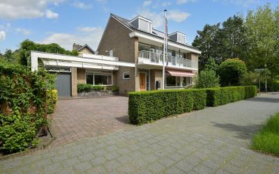Ruychrockla. 250