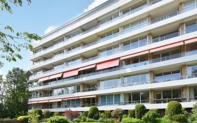 Ruychrockla. 376