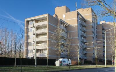 Nieuwe Park. 12