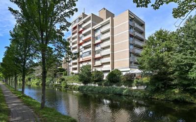 Nieuwe Park. 8-A
