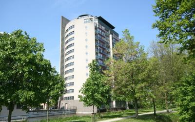 Parkzoom 5