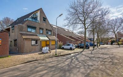 Roodborstla. 1-A