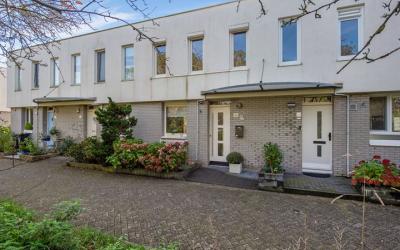 Pelikaansingel 52