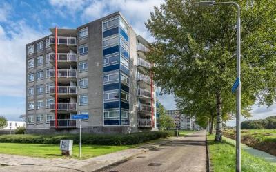Steltloperstraat 79