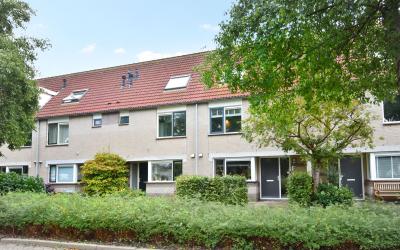 Kievitsbloem 34