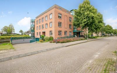 Ridderspoor 106