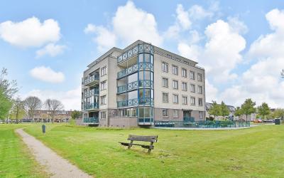 Ridderspoor 18