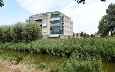 Ridderspoor 30