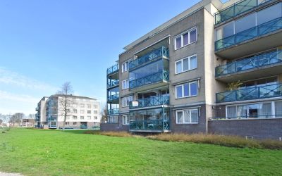 Ridderspoor 46