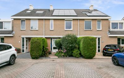 Zwolse Anjer 19