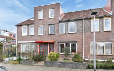 Kievitsbloem 19