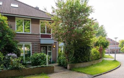 Sleutelbloem 15