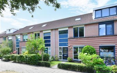 Sleutelbloem 36