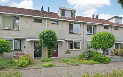 Gentiaan 38