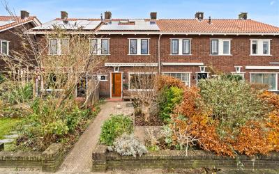 Dijkshoorns. 46