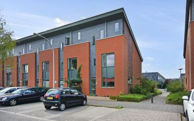 Wollebrand 12