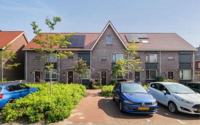 Salamanderweide 11