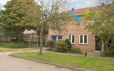 Hollandsche. 42