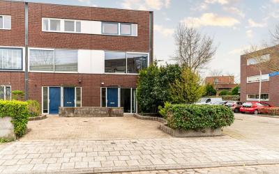 Zuidpolders. 13