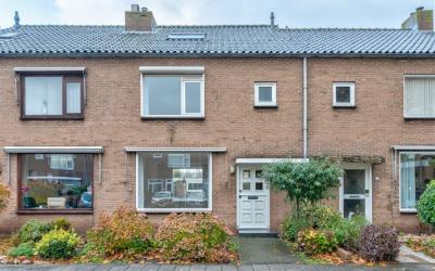 van der Hoe. 24